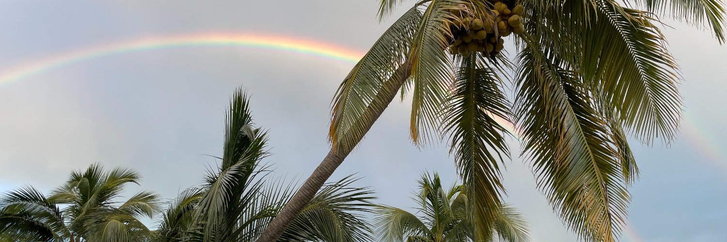 Mark A. Curtis banner