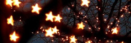 тефтелька для сероволка | aster_lun banner