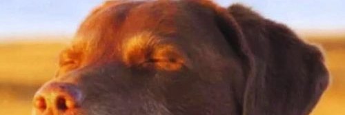 h0lmen5's profile banner image