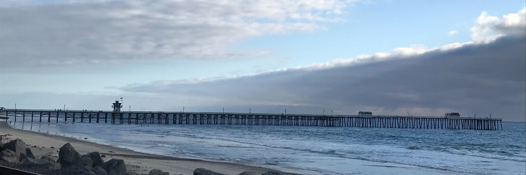 Darla O'Leary banner