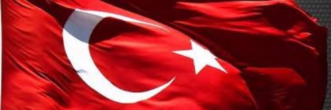 Bedri Sinan GÜL banner