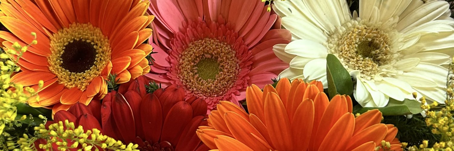 obssedwmbf's profile banner image