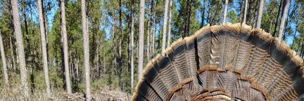 reed_duncan34 Profile Banner