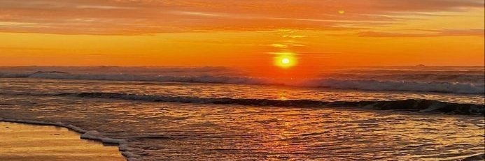 borboletinha🦋 banner