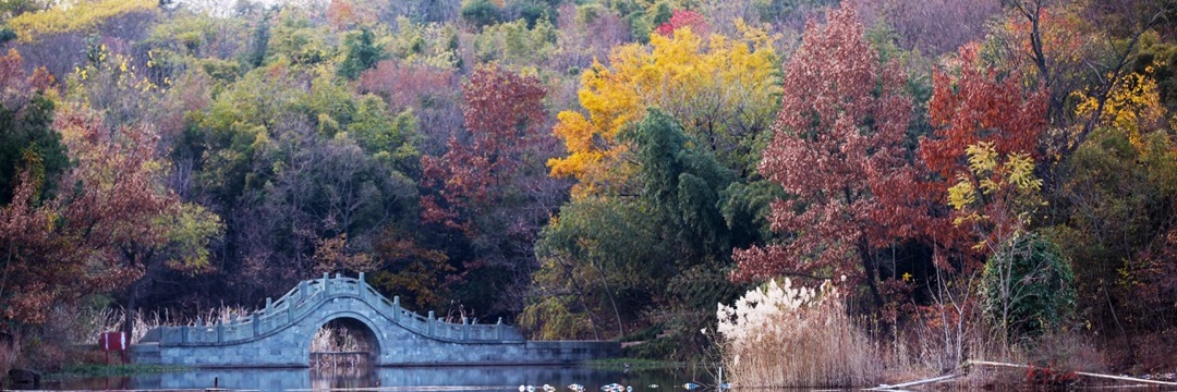 Explore Jiangsu banner