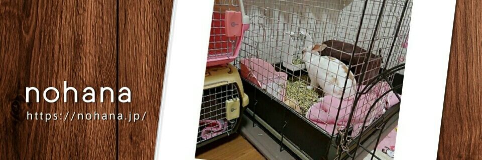 yoshi_naoko's profile banner image
