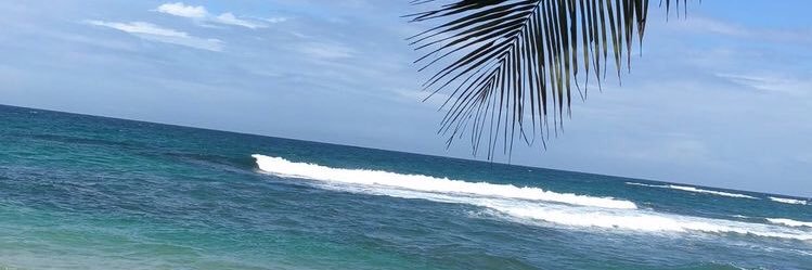 Alexannder_Mix's profile banner image