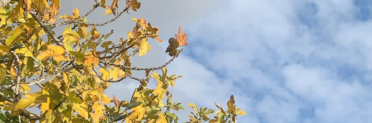 87_hboosh's profile banner image