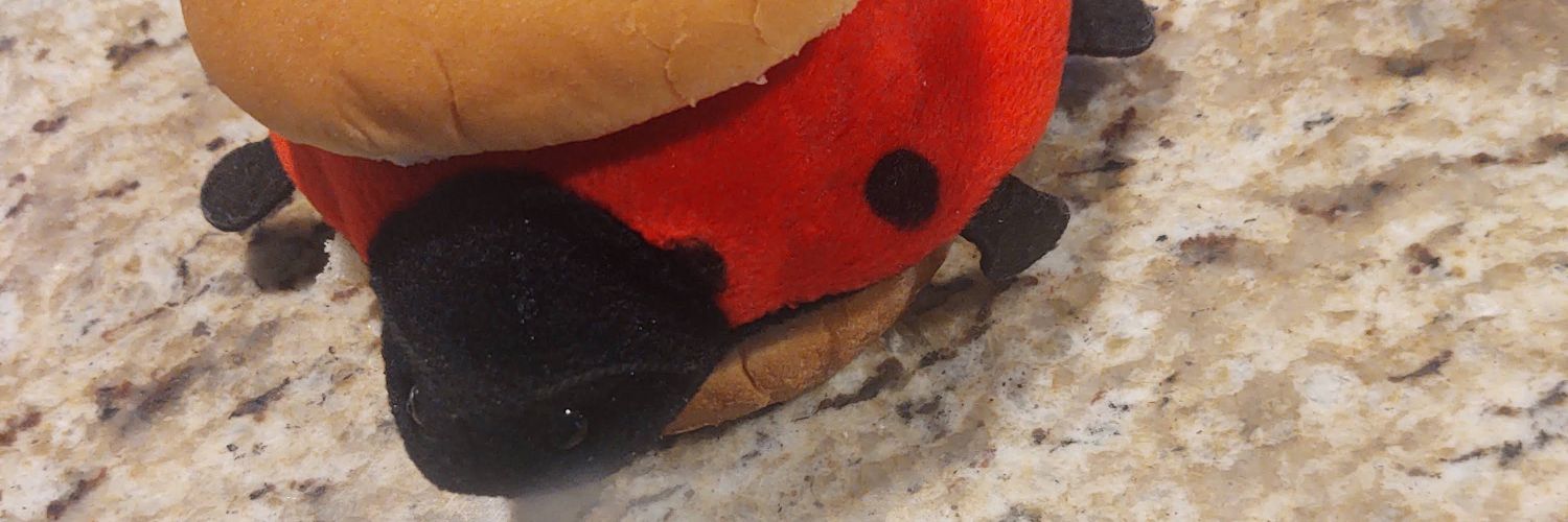 friskyf1uff's profile banner image
