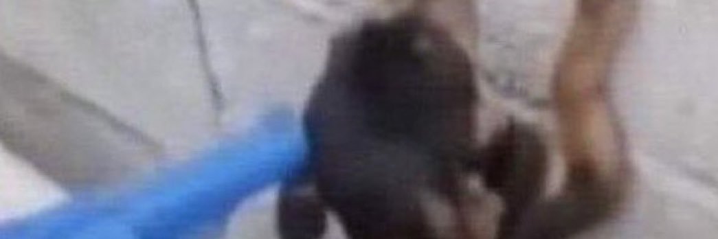 imseanbitch's profile banner image