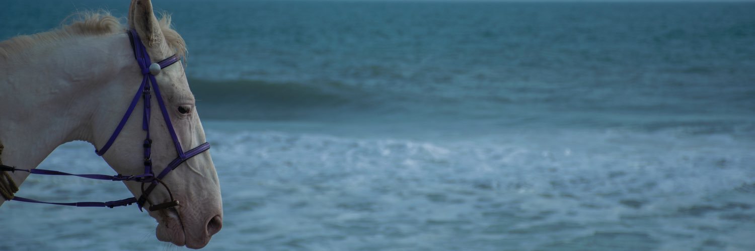 gauraavx's profile banner image