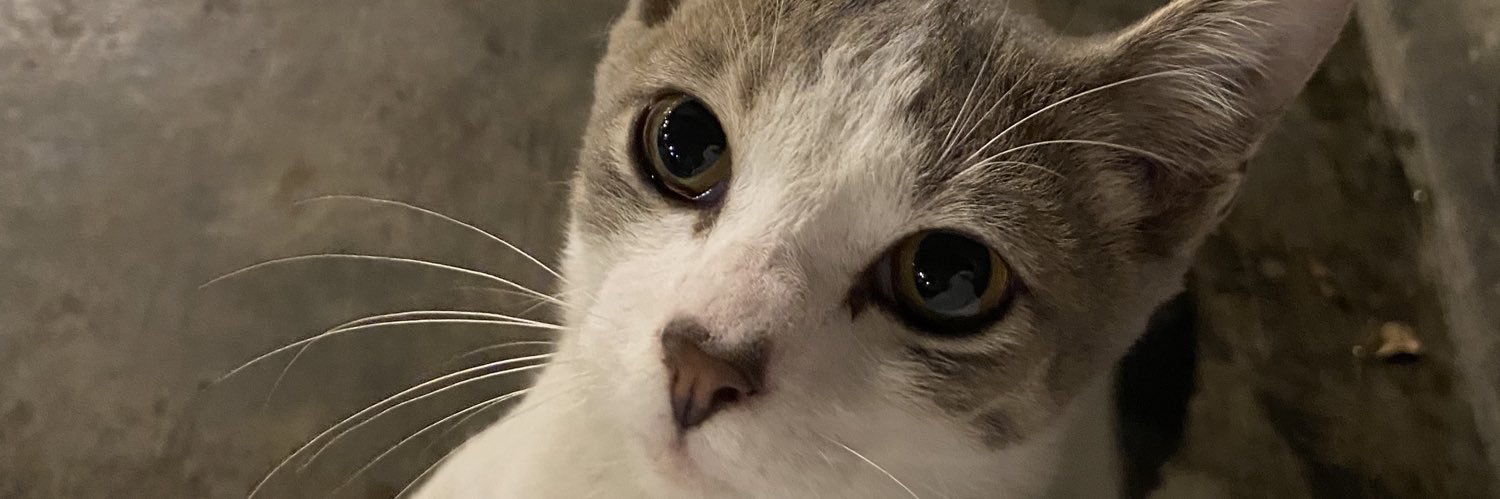 aaronnich_'s profile banner image