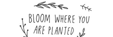 Myriah Fankhauser banner