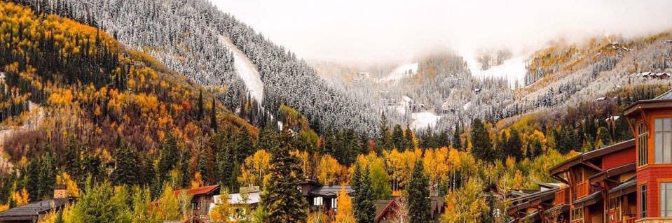 GhosterToastersMom banner