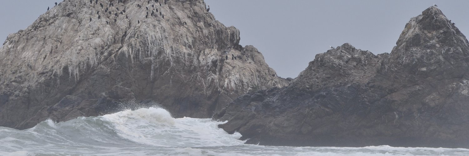 DJScotch4's profile banner image
