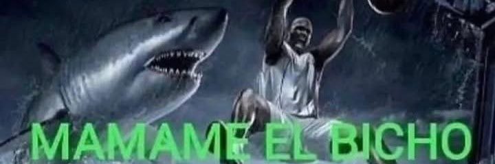 Gaeelroom's profile banner image