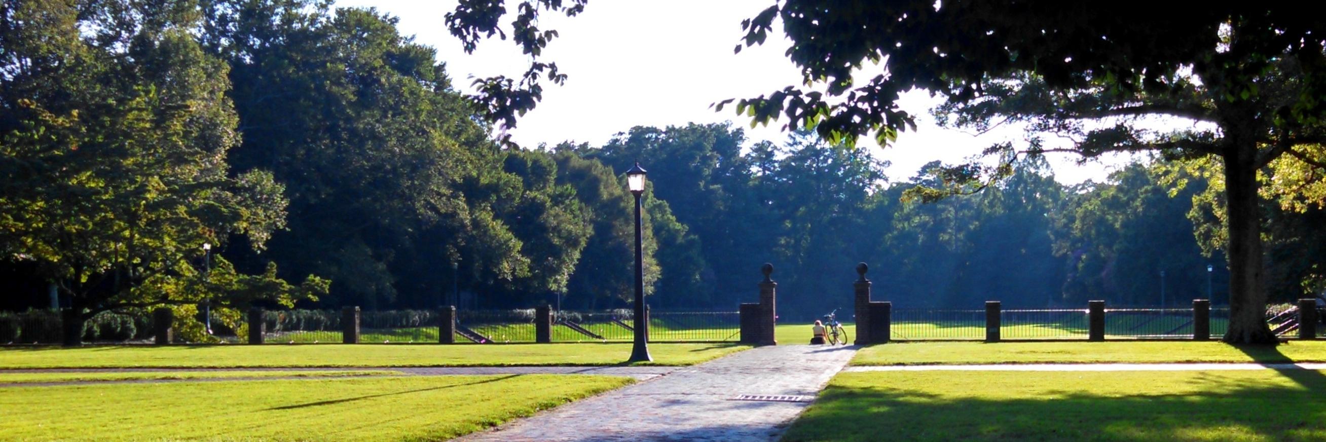 Hannah S. Ostroff banner