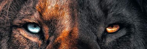 RKMozZp Profile Banner