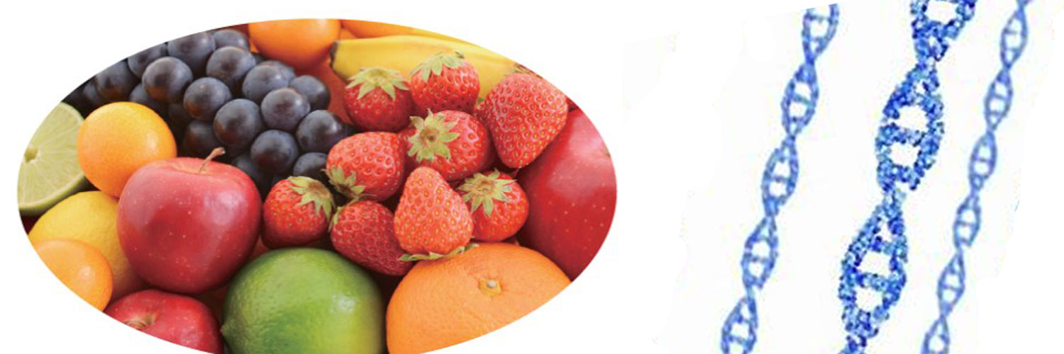 内閣府食品安全委員会事務局_広報's banner