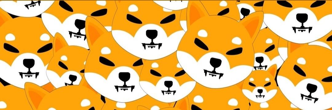 jilkodull banner