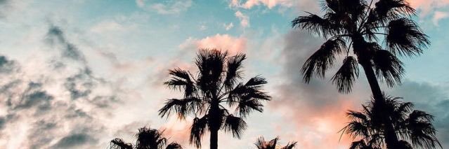 sam_navyn's profile banner image