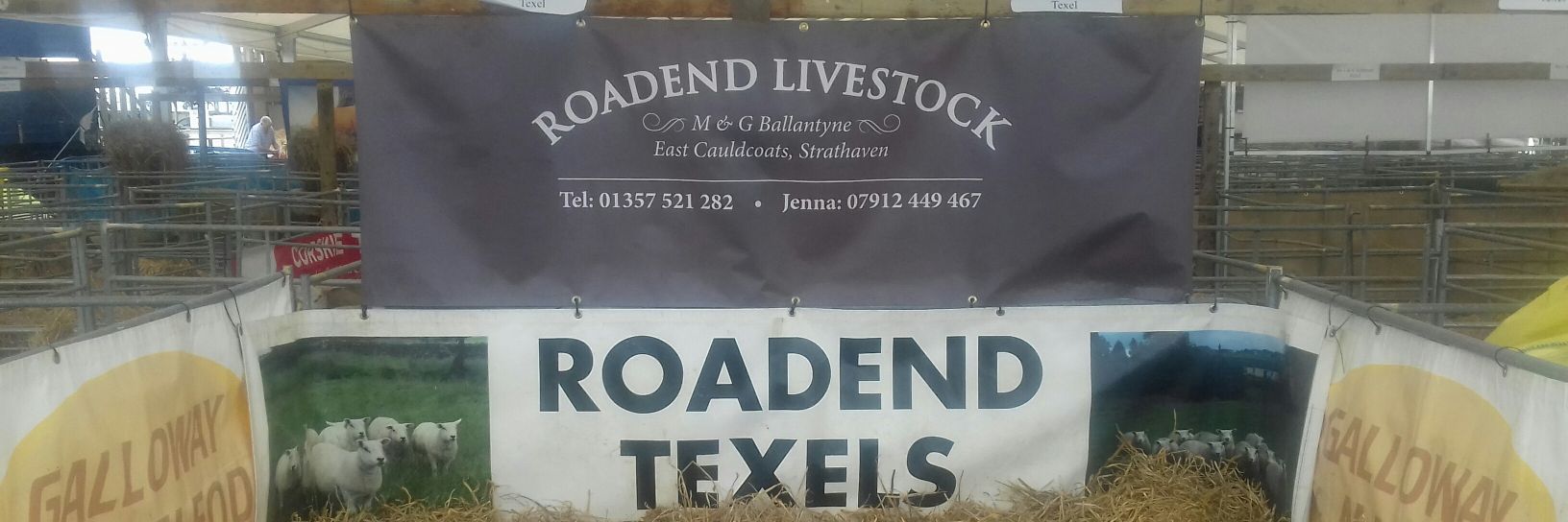 Jenna Ballantyne banner