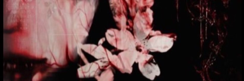 Ambre8379's profile banner image