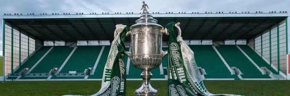 Follow_Hibees's profile banner image