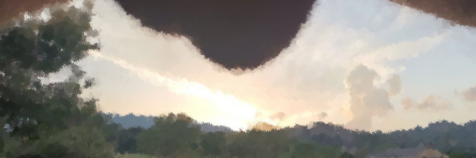 NutscapeP's profile banner image