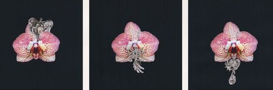 k🅰️yol anak baik banner