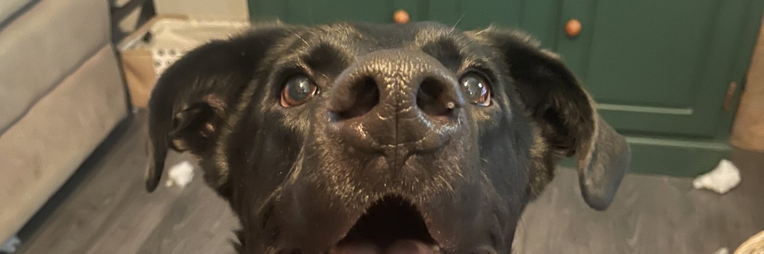 bethanyalyssam's profile banner image