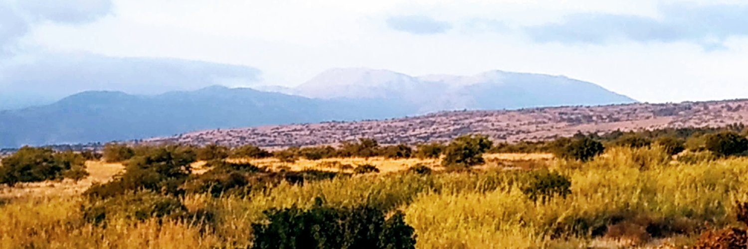 🇮🇱🇯🇵ハダル🇯🇵🇮🇱＠イスラエルで生活 banner