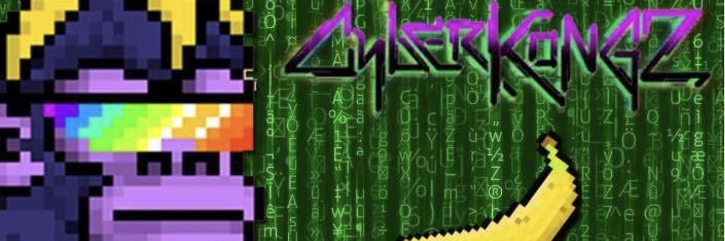 kongzsheep banner