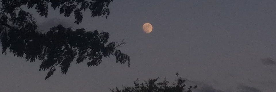 Josemp_01's profile banner image