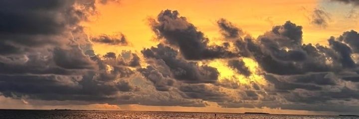 AidengfxLily's profile banner image