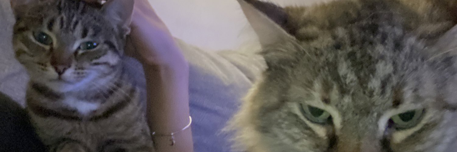 emsukowski's profile banner image