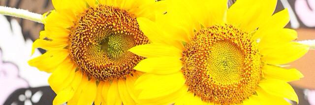verradj's profile banner image