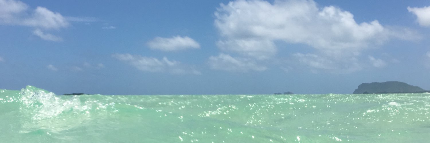 do_ko_'s profile banner image