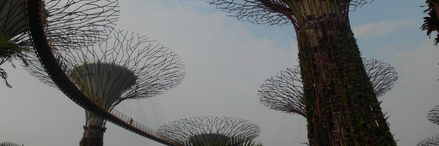 qasimzee's profile banner image