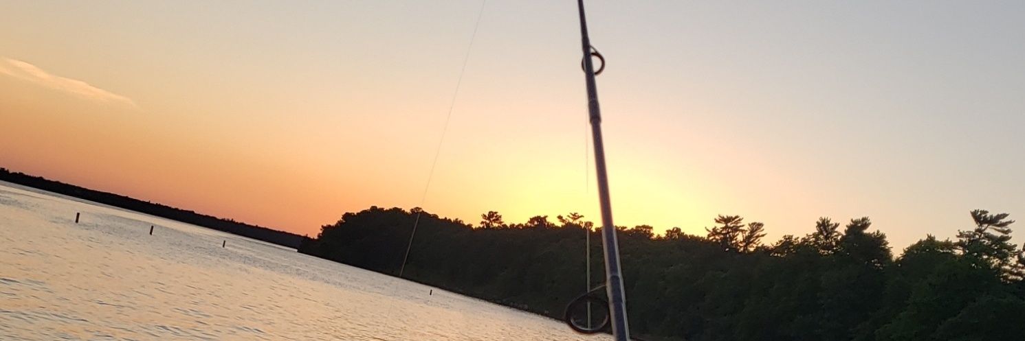 kdexterrr's profile banner image
