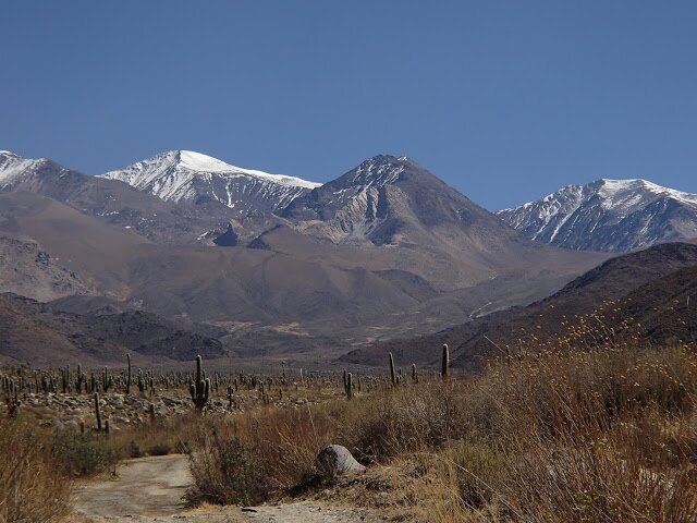 tincho_harris's profile banner image