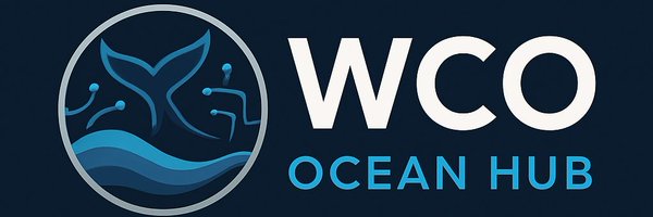 0xSerx Profile Banner
