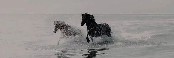 _InHeaven02 Profile Banner