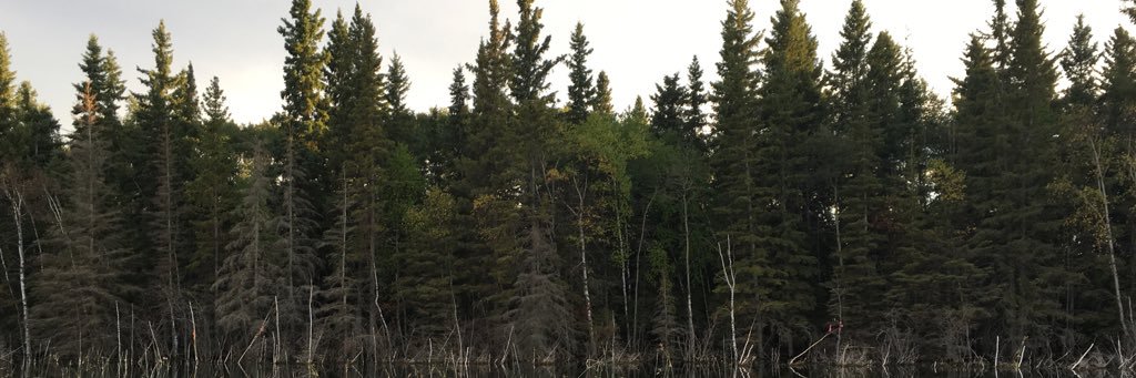 tpura's profile banner image