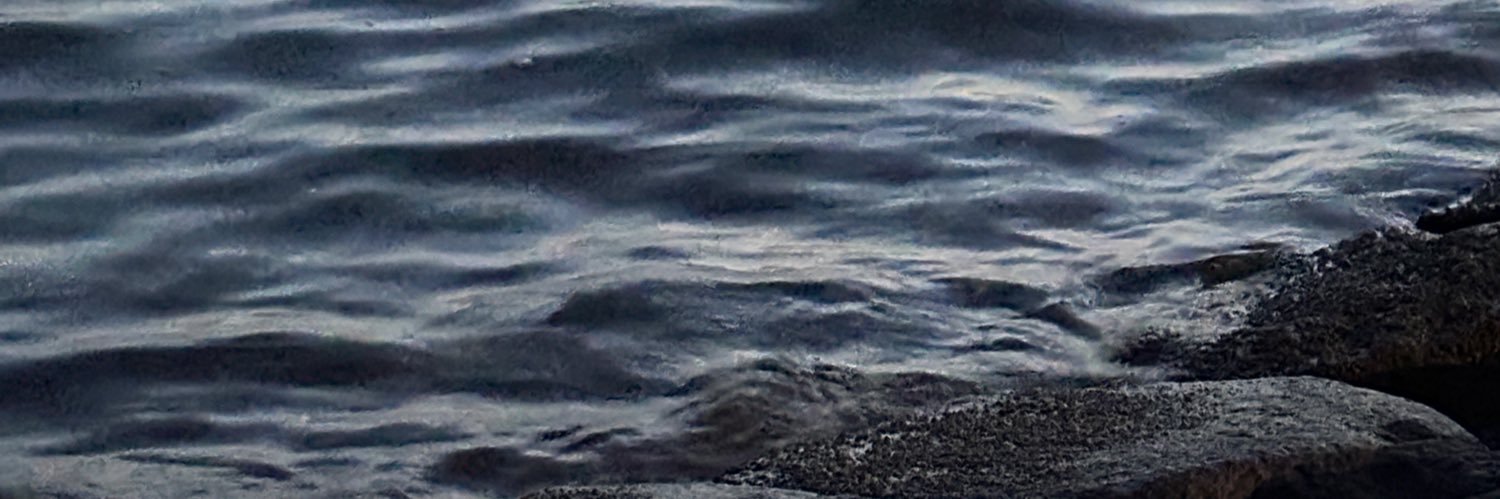 ahcipcippp banner