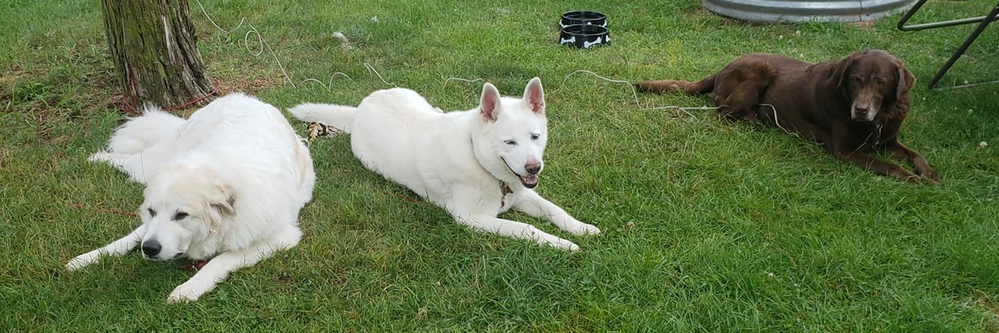 Kerry Schaffer banner