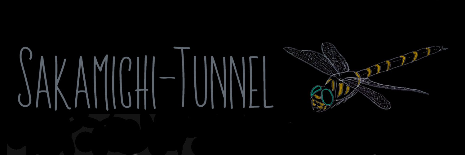 slope_tunnel's profile banner image