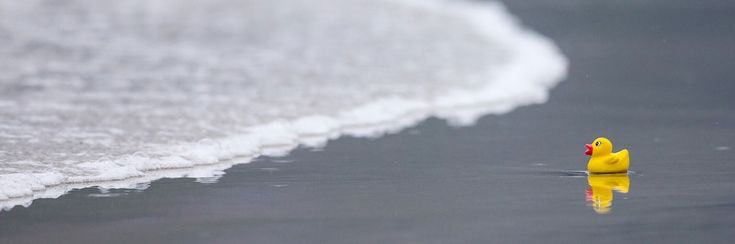فاطِمة banner