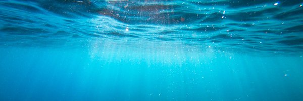 seachangeerc Profile Banner