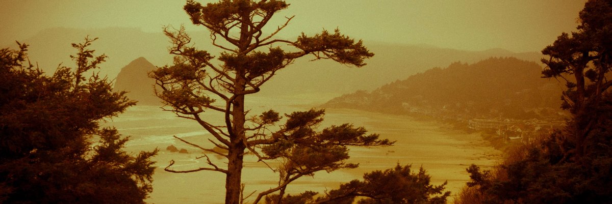 gerrymcgrath's profile banner image